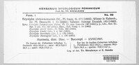 Image Associated With the Occurence